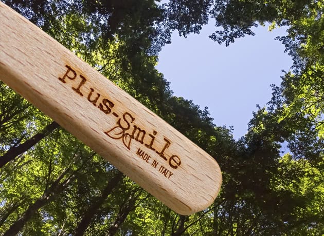 Cepillo de dientes con mango de madera natural